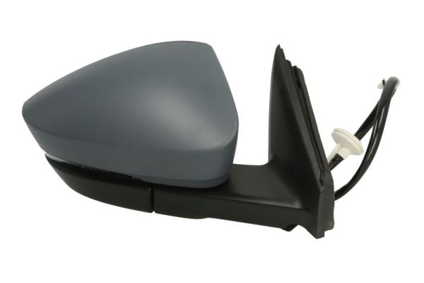 Blic Buitenspiegel 5402-43-1926327P