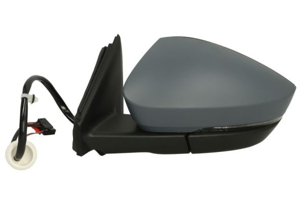 Blic Buitenspiegel 5402-43-1926328P