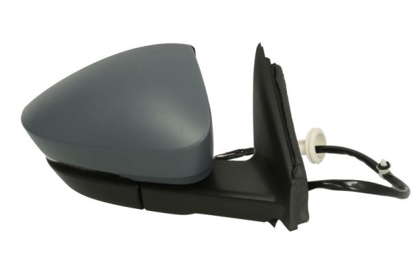 Blic Buitenspiegel 5402-43-1926329P