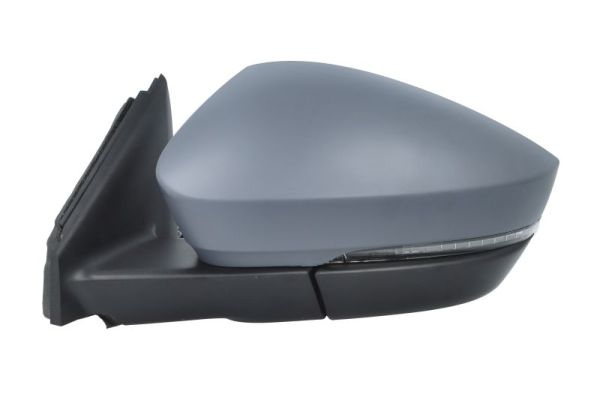 Blic Buitenspiegel 5402-43-1926330P