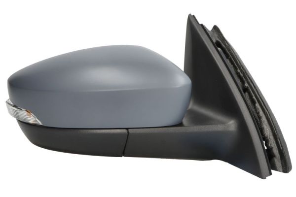 Blic Buitenspiegel 5402-43-2029311P