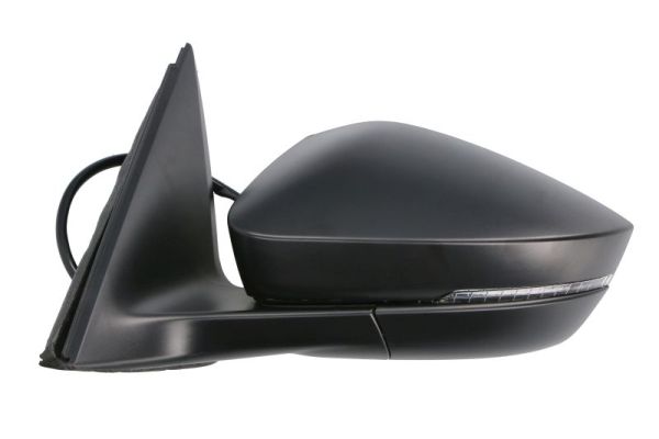 Blic Buitenspiegel 5402-43-2195310P