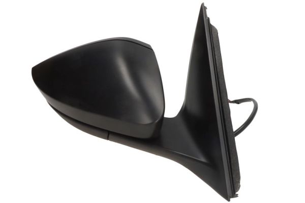 Blic Buitenspiegel 5402-43-2195311P