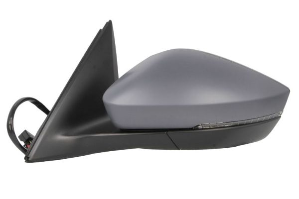 Blic Buitenspiegel 5402-43-2195312P