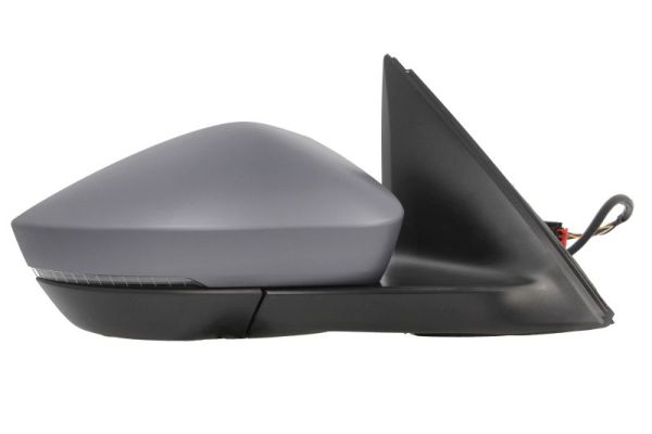 Blic Buitenspiegel 5402-43-2195313P