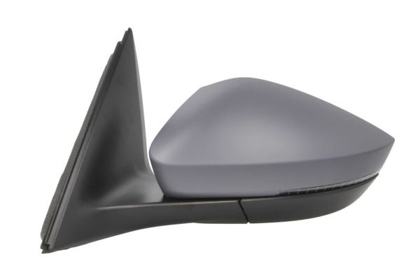 Blic Buitenspiegel 5402-43-2195314P