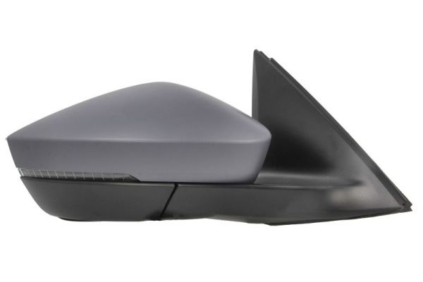 Blic Buitenspiegel 5402-43-2195315P