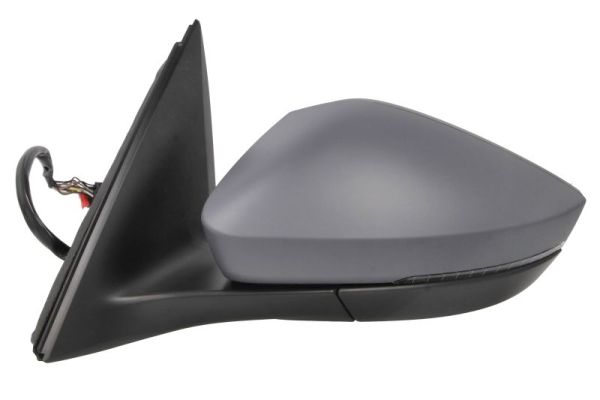 Blic Buitenspiegel 5402-43-2195316P