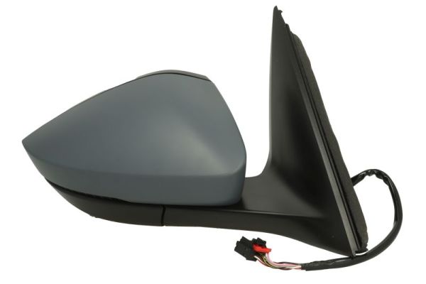 Blic Buitenspiegel 5402-43-2195317P