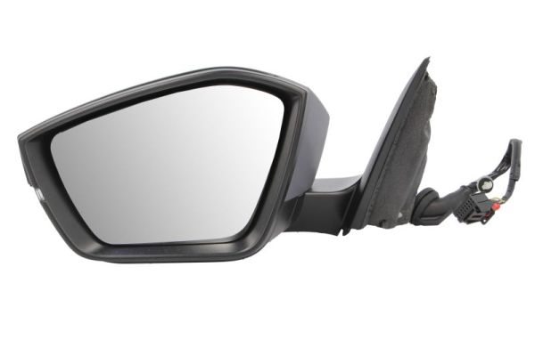 Blic Buitenspiegel 5402-43-2355310P