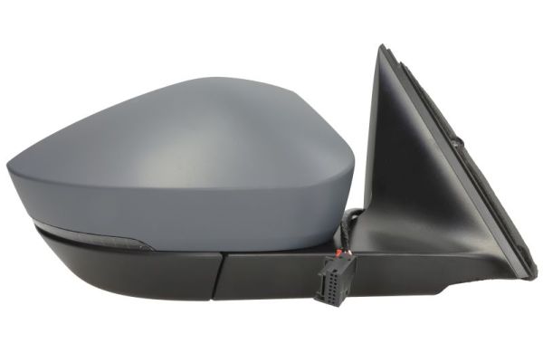 Blic Buitenspiegel 5402-43-2355311P