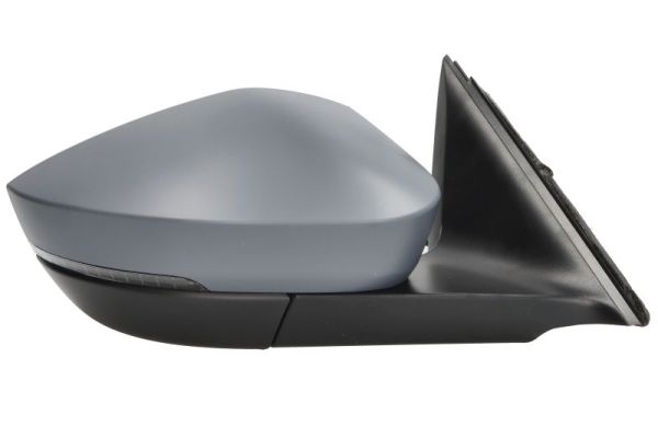 Blic Buitenspiegel 5402-43-2355313P