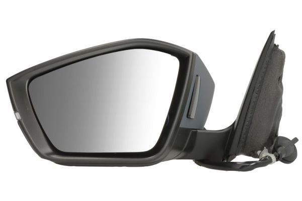 Blic Buitenspiegel 5402-43-2355314P