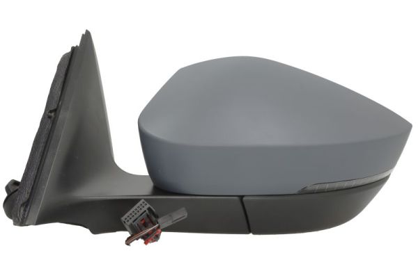 Blic Buitenspiegel 5402-43-2355314P