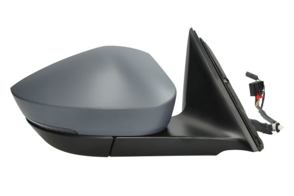 Blic Buitenspiegel 5402-43-2355315P