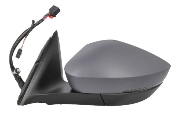 Blic Buitenspiegel 5402-43-2355316P