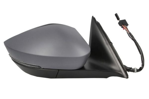 Blic Buitenspiegel 5402-43-2355317P