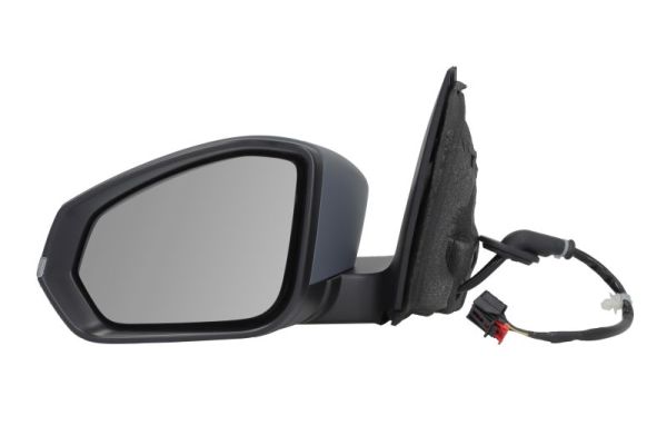 Blic Buitenspiegel 5402-43-2557316P