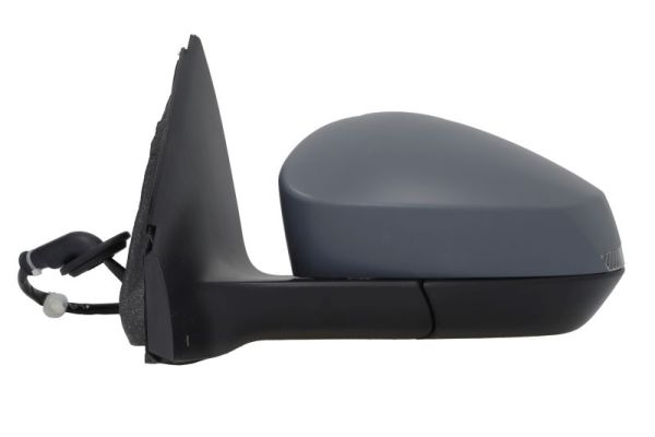 Blic Buitenspiegel 5402-43-2557316P