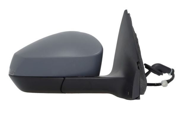 Blic Buitenspiegel 5402-43-2557317P