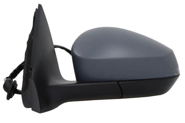 Blic Buitenspiegel 5402-43-2557318P