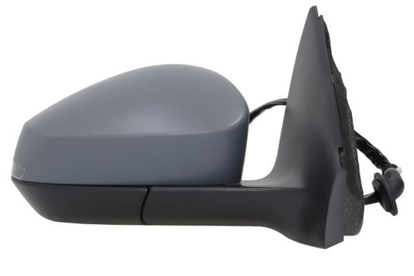 Blic Buitenspiegel 5402-43-2557319P