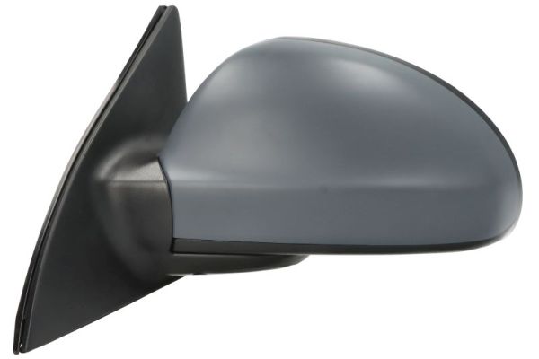 Blic Buitenspiegel 5402-53-0636310P