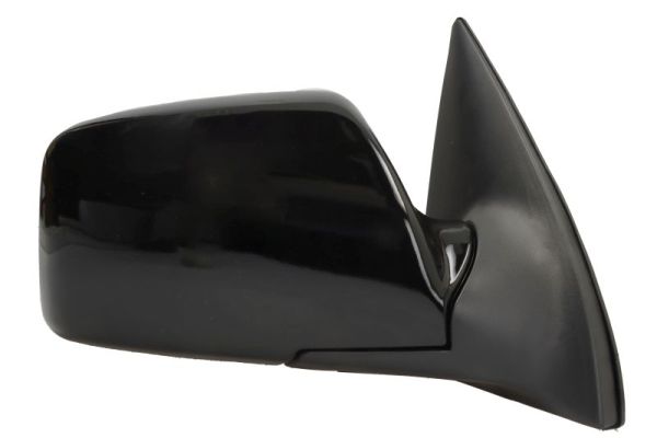 Blic Buitenspiegel 5402-53-0670311P