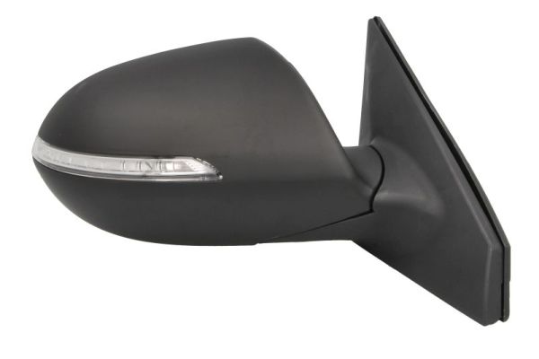 Blic Buitenspiegel 5402-53-0671313P