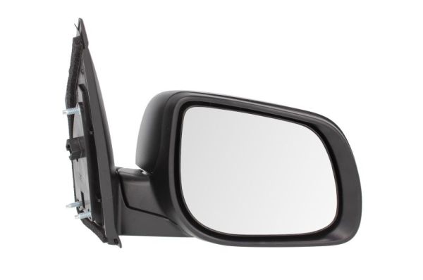 Blic Buitenspiegel 5402-53-2001528P