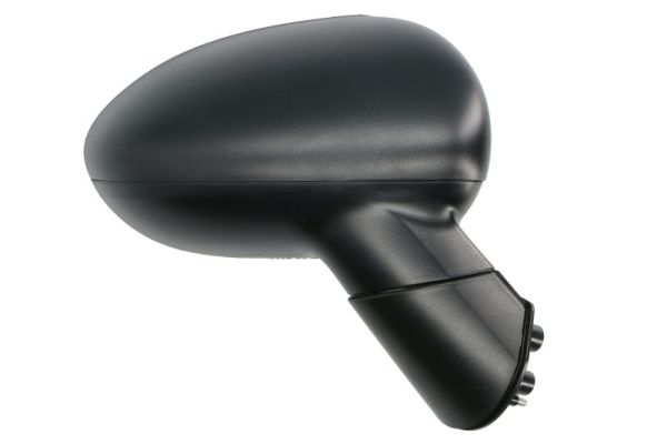 Blic Buitenspiegel 5402-53-2001552P