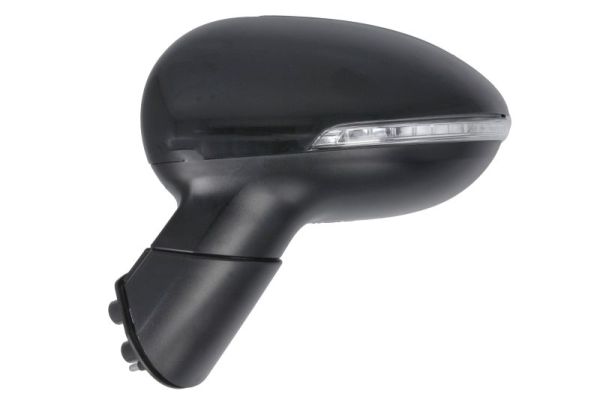 Blic Buitenspiegel 5402-53-2001555P