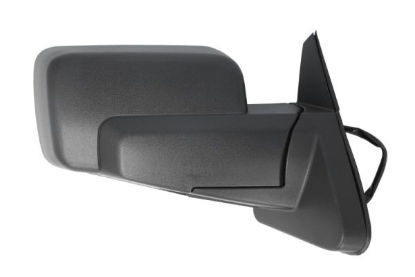 Blic Buitenspiegel 5402-55-0615315P