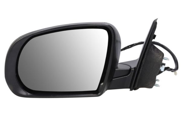 Blic Buitenspiegel 5402-55-2222310P