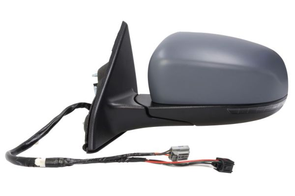 Blic Buitenspiegel 5402-55-2222310P