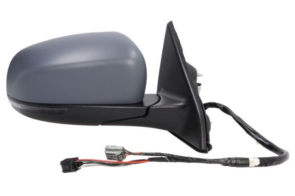 Blic Buitenspiegel 5402-55-2222311P