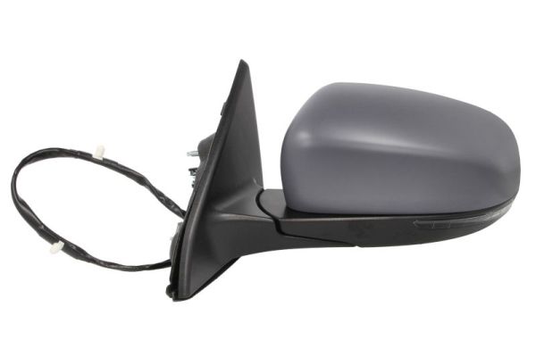 Blic Buitenspiegel 5402-55-2222316P