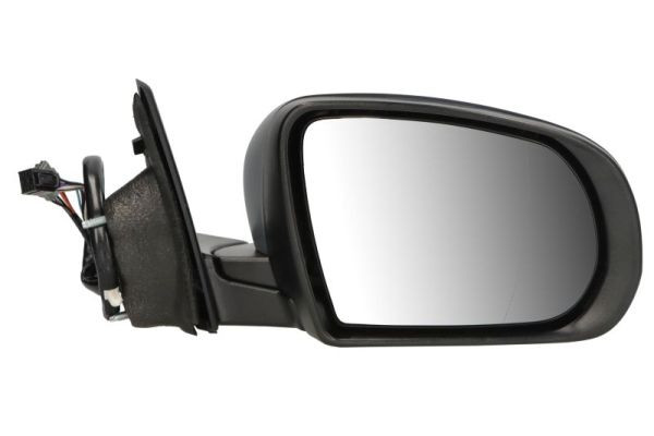 Blic Buitenspiegel 5402-55-2222317P