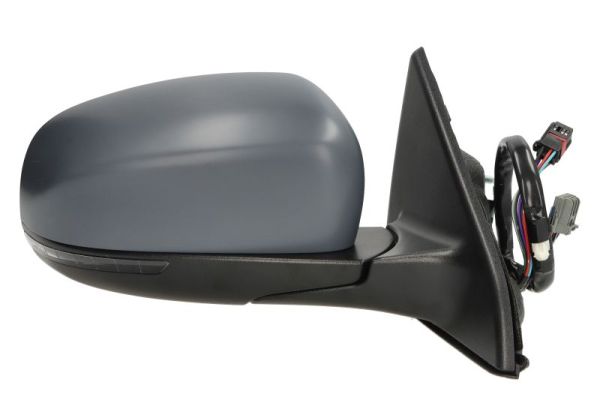 Blic Buitenspiegel 5402-55-2222317P