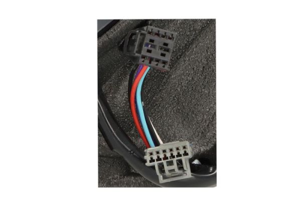 Blic Buitenspiegel 5402-55-2222317P