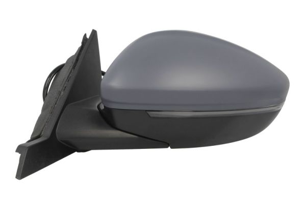 Blic Buitenspiegel 5402-55-2672310P