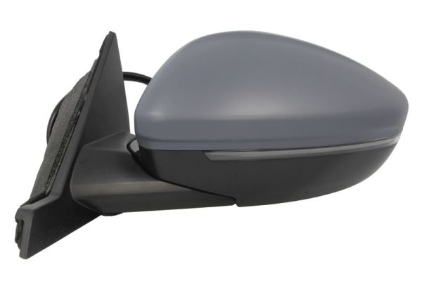 Blic Buitenspiegel 5402-55-2672312P