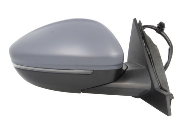 Blic Buitenspiegel 5402-55-2672313P