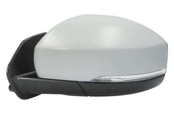 Blic Buitenspiegel 5402-57-0697310P