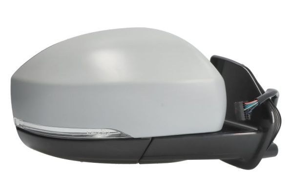 Blic Buitenspiegel 5402-57-0697311P