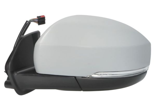 Blic Buitenspiegel 5402-57-0697314P