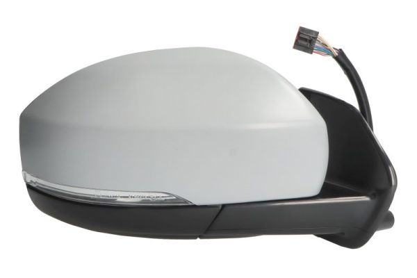 Blic Buitenspiegel 5402-57-0697315P