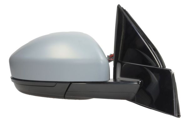 Blic Buitenspiegel 5402-57-0698313P