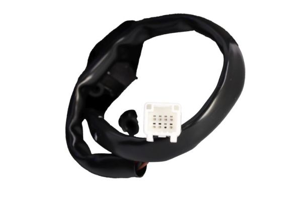 Blic Buitenspiegel 5402-67-2002812P