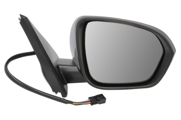 Blic Buitenspiegel 5402-67-2146321P